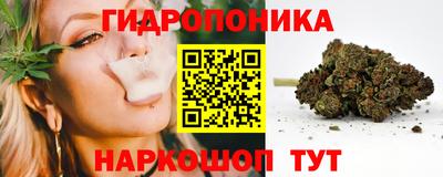 apvp Кунгур