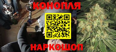 apvp Лесосибирск