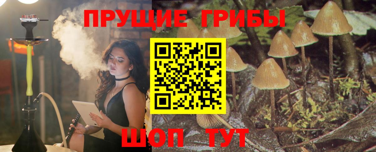 Псилоцибиновые грибы прущие грибы Ишим